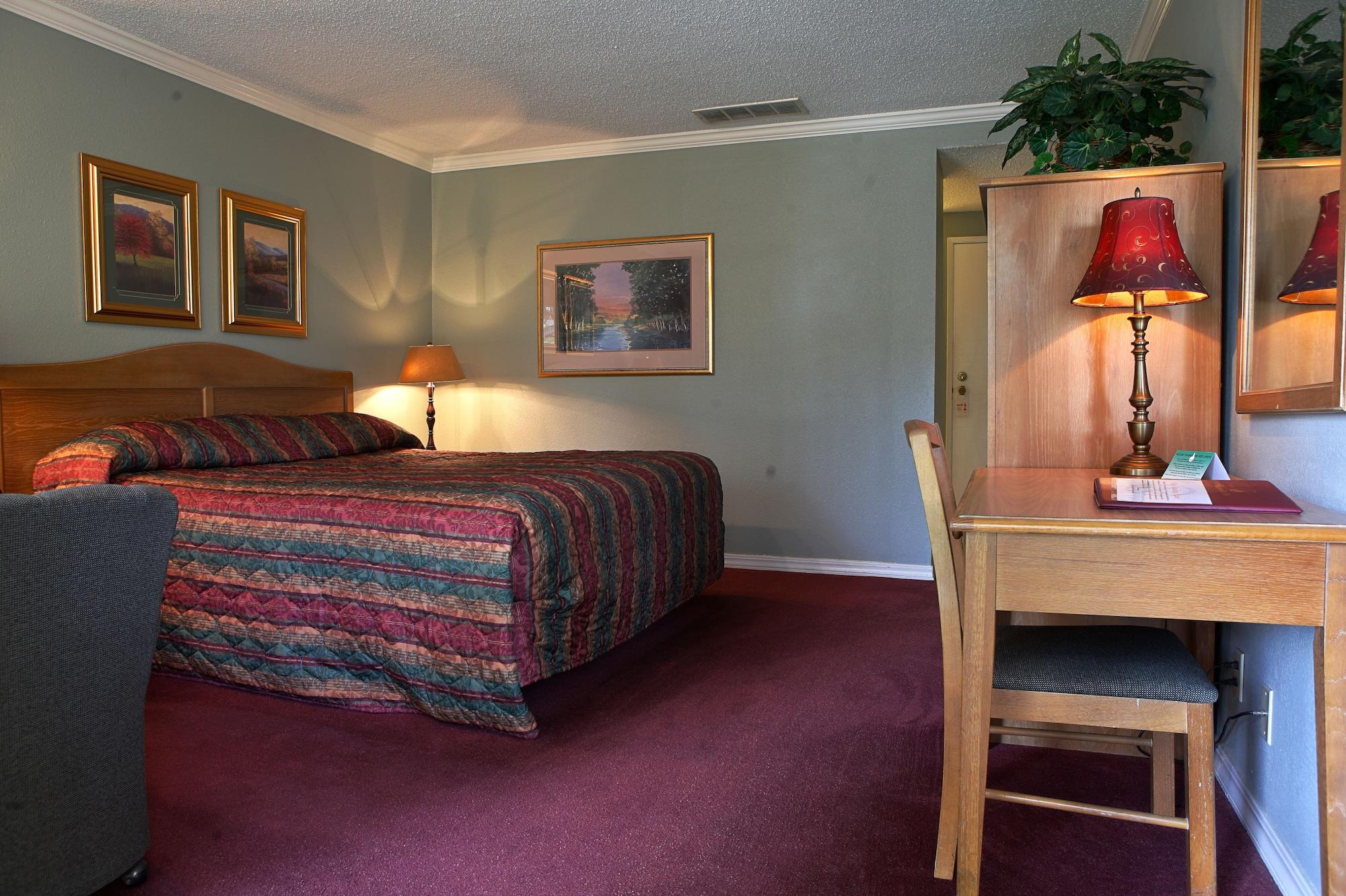 Motel Lamp Liter